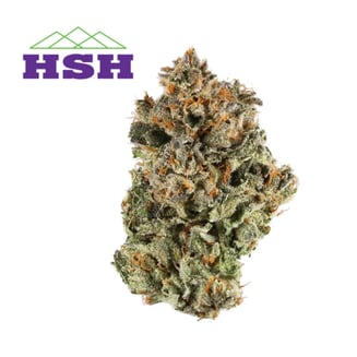 91 Punch by High Sierra Holistics (HSH)