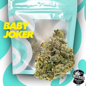 Baby Joker by Soft Serve