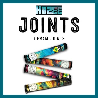 Giggle Schnitz | 1g Joint by Hazee