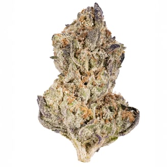 West Coast Cure: Purpscotti