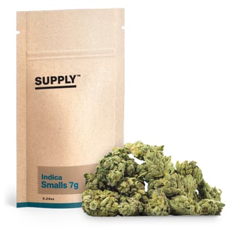 Lime Sorbet by Supply™