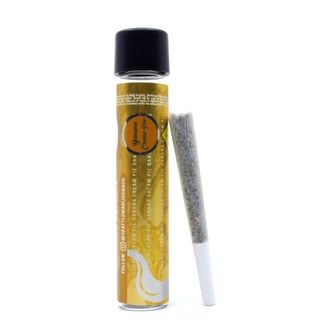 Banana Cream Pie [1g]