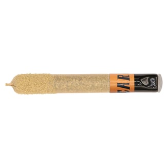 Zebra Stripes [1g] by Carmel