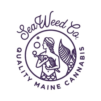 1:1 Key Lime Joint Relief [1000mg] by Seaweed Co