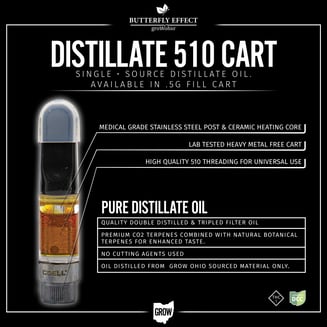 BC Distillate by Butterfly Effect