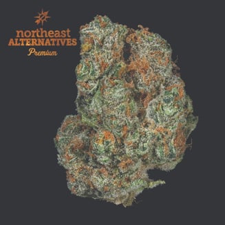 Pineapple Express by Northeast Alternatives
