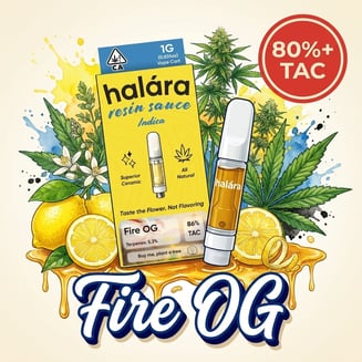Halara: Fire OG