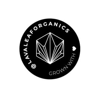 Amnesia Haze by Lava Leaf Organics