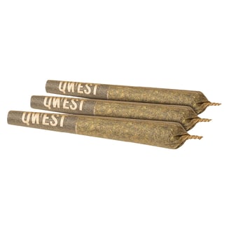 Apple Fritter [.5g] by Qwest