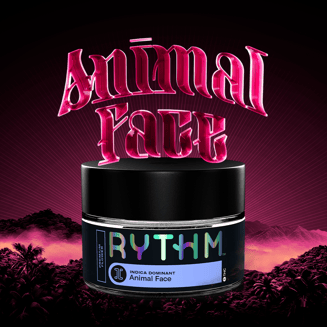 Rythm — Animal Face