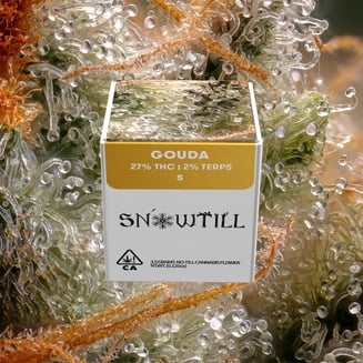 Snowtill — Gouda