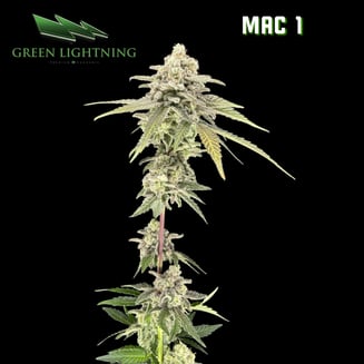 MAC 1 by Green Lightning