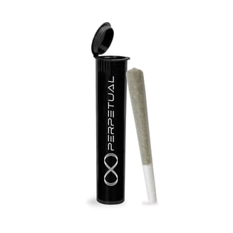 Acapulco Gold [1g] by Perpetual