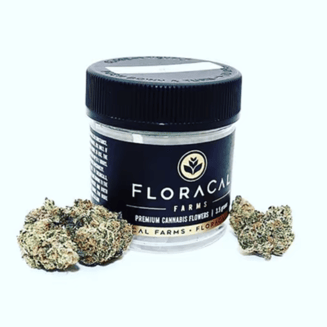 Da Funk by FloraCal™