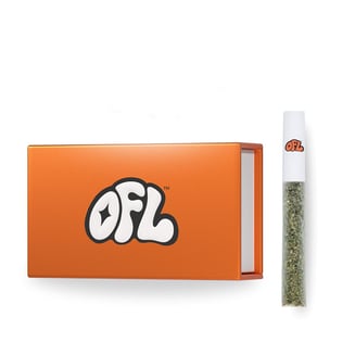Oakfruitland — Beach Break