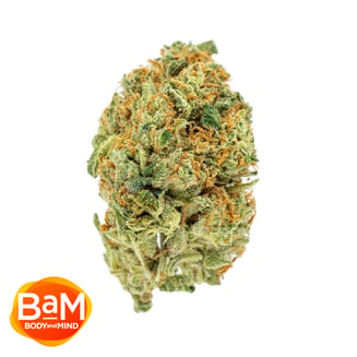 K.O. by BaM Body and Mind