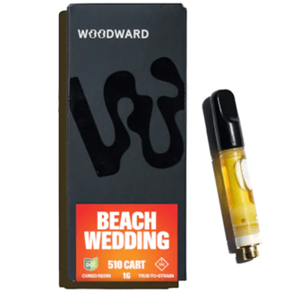 Beach Wedding by Woodward