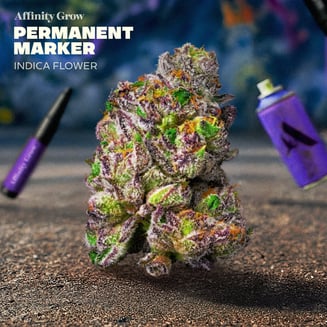 Permanent Marker Flower T24.71% I 01010 by Affinity Grow