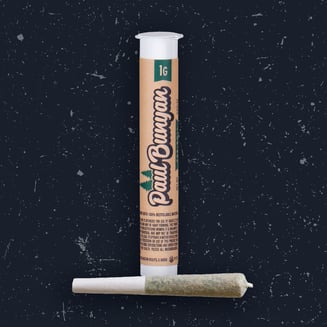Apple Fritter [1g] by Paul Bunyan