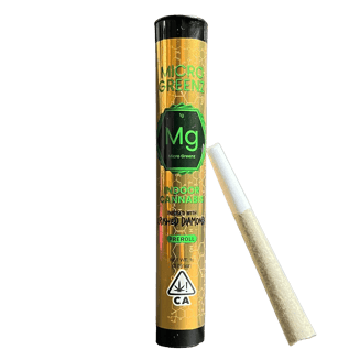 Micro Greenz — Apple Fritter X Tuscan Gelato