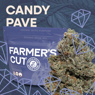 Candy Pave by Farmer's Cut