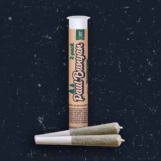 Rainbow Runtz [2g] by Paul Bunyan