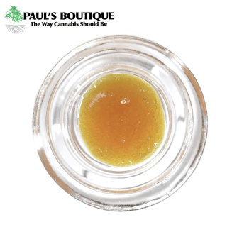 Bacio Mintz by Paul's Boutique
