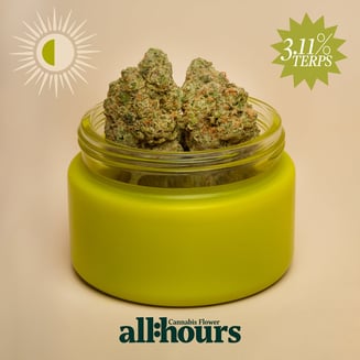 all:hours Mule Fuel 4925 by all:hours