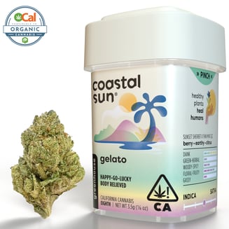 Coastal Sun: Gelato