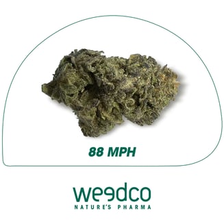 88 MPH - High Potency by OMG! - PR