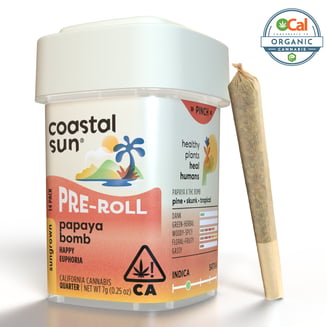 Coastal Sun: Papaya Bomb
