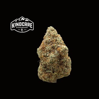 Chem Fritter by Kind Care of Colorado