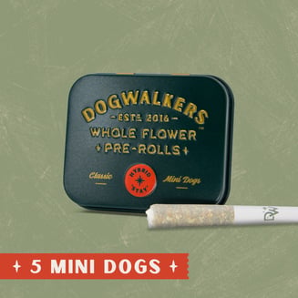 Afternoon Delight #4 [.35g] by Dogwalkers