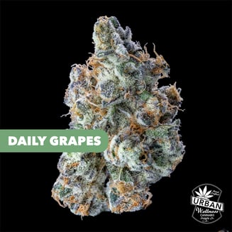 Daily Grapes by Urban Wellness