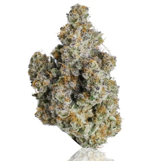 CAM: Alien Cookies