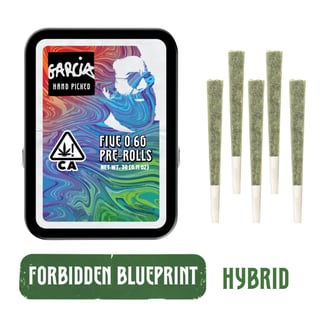 Garcia Hand Picked: Forbidden Blueprint
