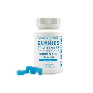 Daily Support - Blue Raspberry [30pk] (1000mg CBD) by Extract Labs