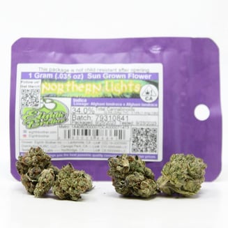 Eighth Brother — Northern Lights