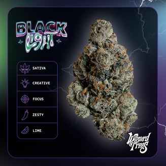WIZARD TREES — Black Light