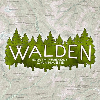 Banana Runtz by Walden Reserve