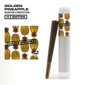 Golden Pineapple [1g] by Phat Panda