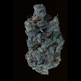 Apple Fritter by K-Savage