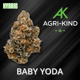 Baby Yoda by Agri-Kind