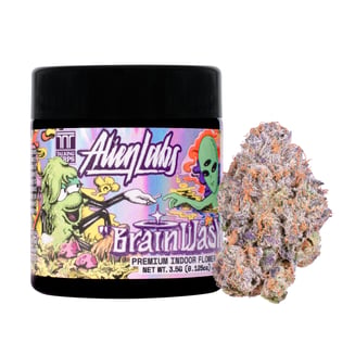Alien Labs — Brainwash