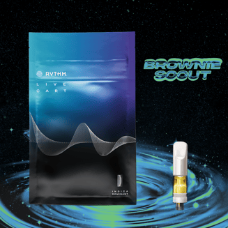 Rythm — Brownie Scout