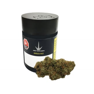 Amnesia Haze by Great White North Growers