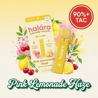 Halara: Pink Lemonade Haze