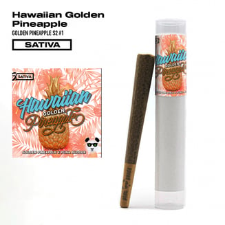 Hawaiian Golden Pineapple [1g] by Phat Panda