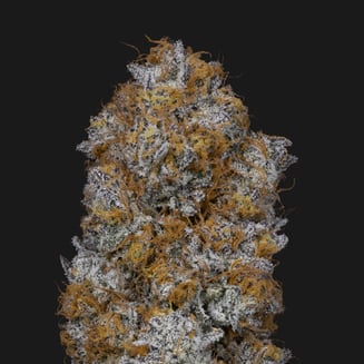SherbHead [3.54g] by Klutch Cannabis
