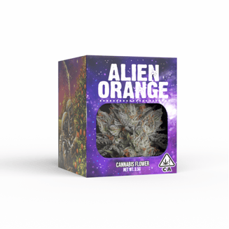 Decibel Gardens — Alien Orange